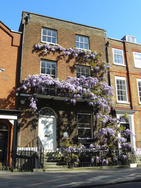 Offices on Richmond Green Surrey with Wisteria to rent 